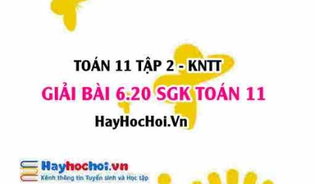 Bài 6.20 SGK Toán 11 Tập 2 Kết nối tri thức